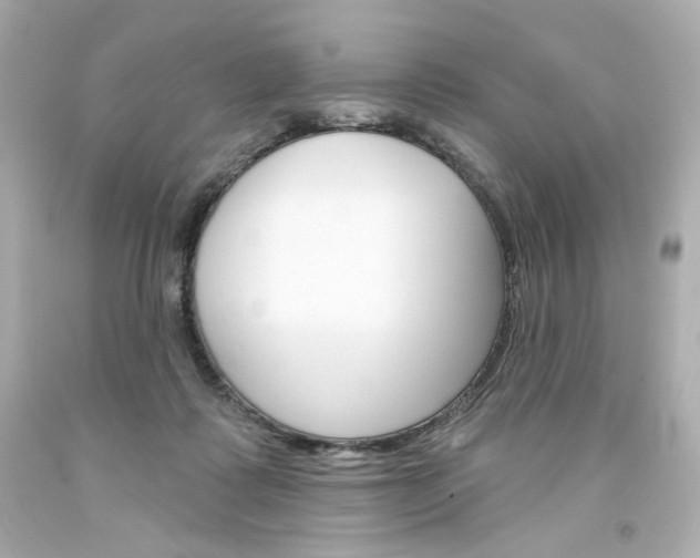 X0000094350315200711021319