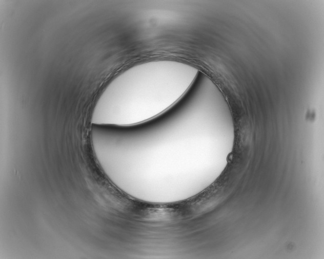 X0000094350316200711021319