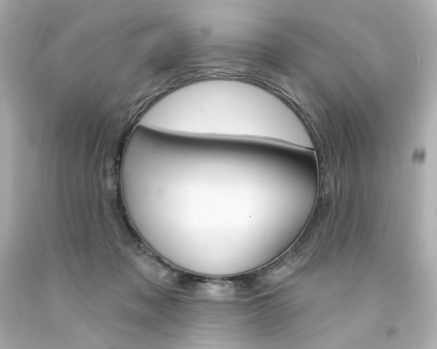 X0000094350317200711021319