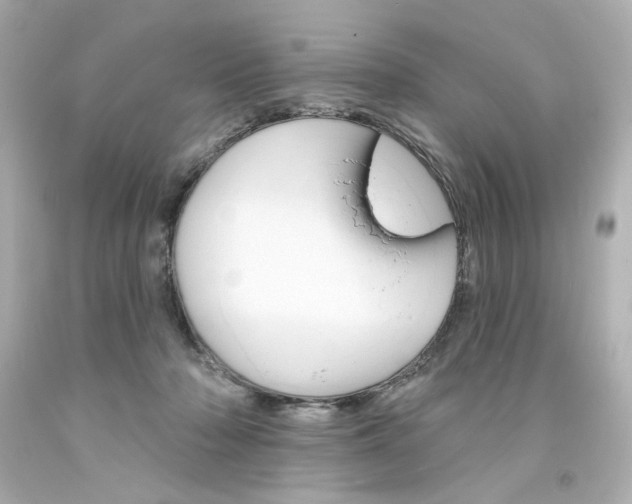 X0000094350318200711021319