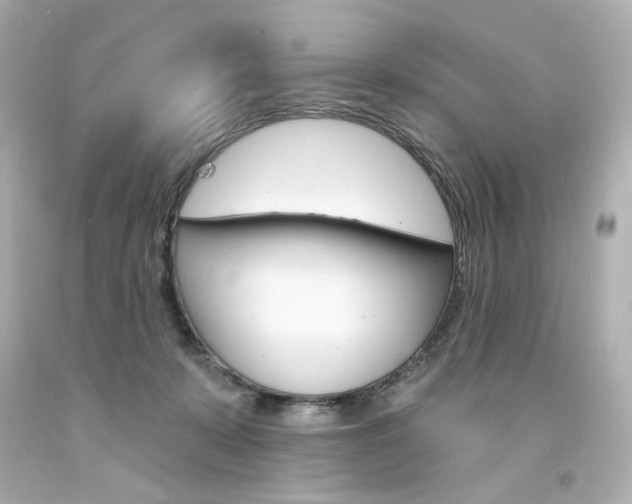 X0000094350319200711021319