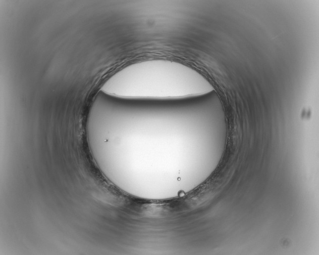 X0000094350320200711021319
