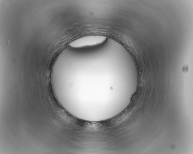 X0000094350321200711021319