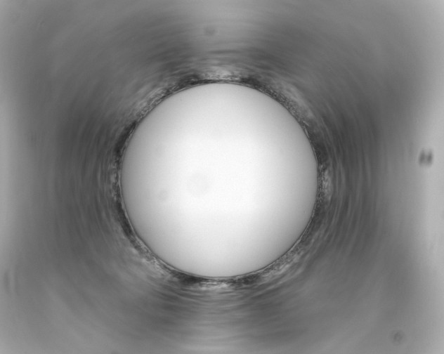 X0000094350322200711021319