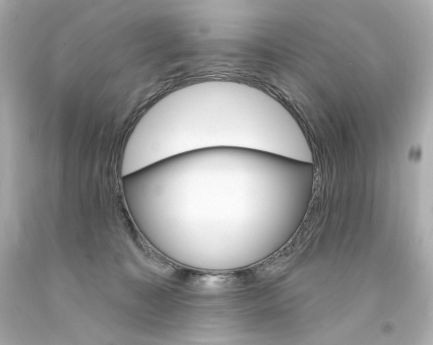 X0000094350323200711021319