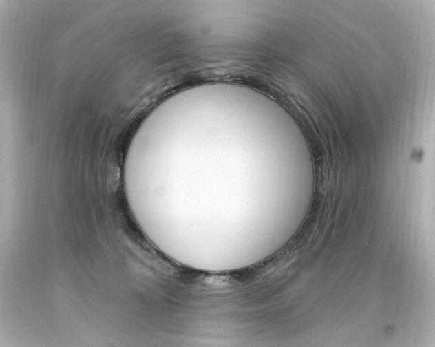 X0000094350324200711021319
