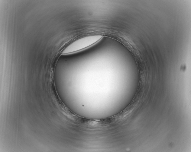 X0000094350325200711021319