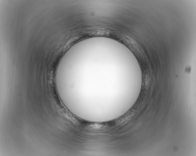 X0000094350326200711021319