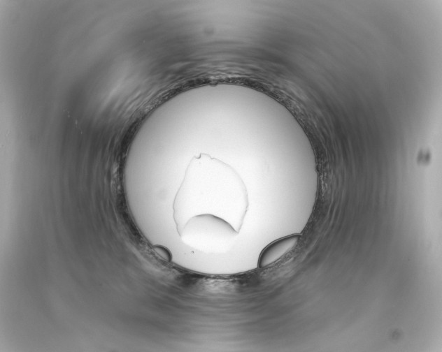X0000094350327200711021319