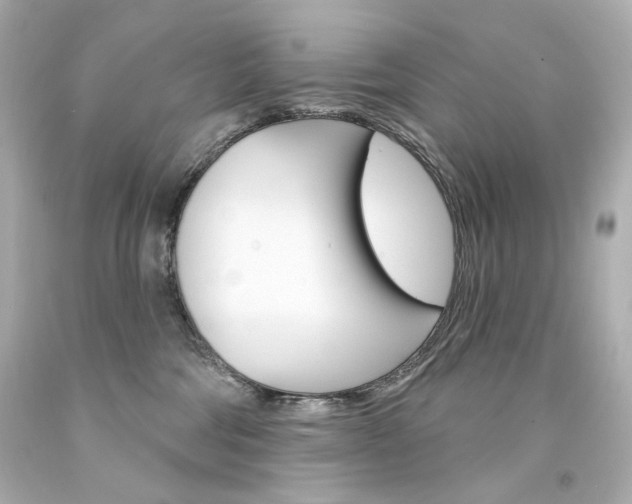 X0000094350330200711021319