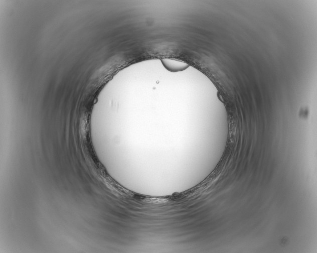 X0000094350334200711021319