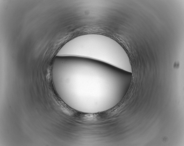 X0000094350335200711021319