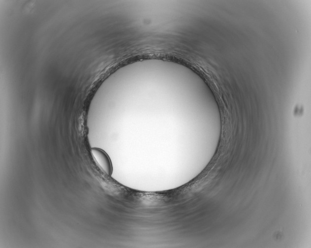X0000094350336200711021319