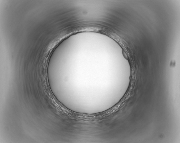 X0000094350337200711021318