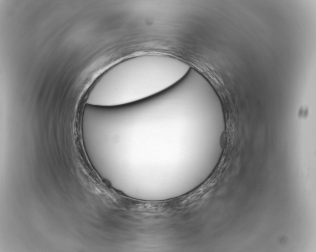 X0000094350338200711021318