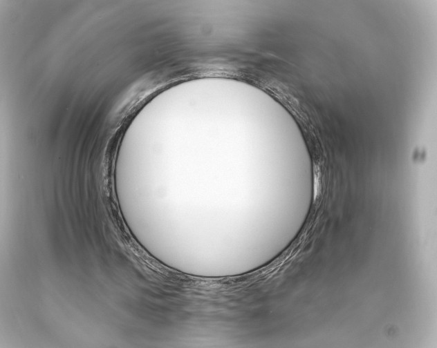 X0000094350339200711021318