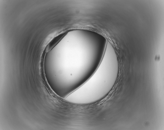 X0000094350340200711021318