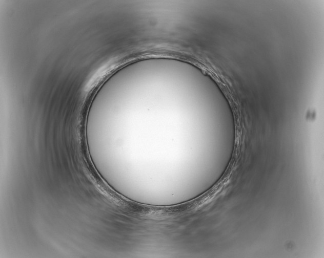 X0000094350341200711021318