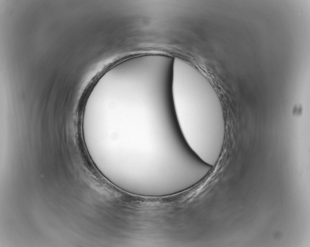 X0000094350342200711021318