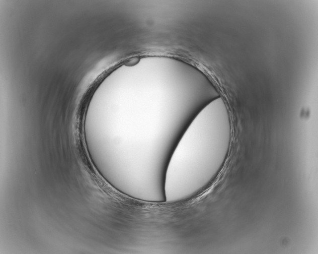X0000094350343200711021318