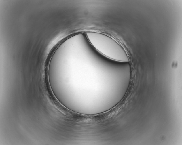 X0000094350344200711021318