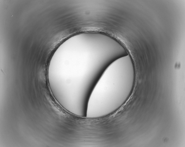 X0000094350345200711021318