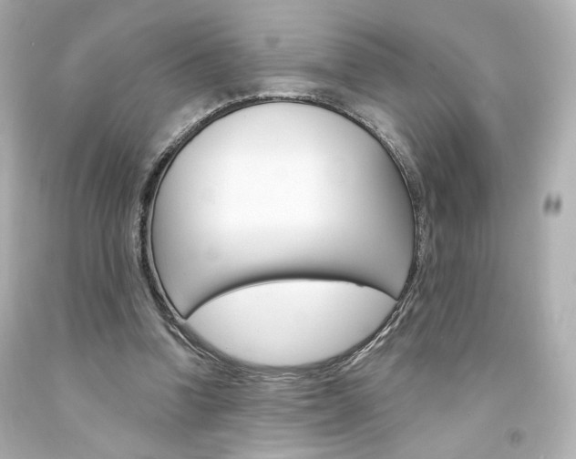 X0000094350346200711021318