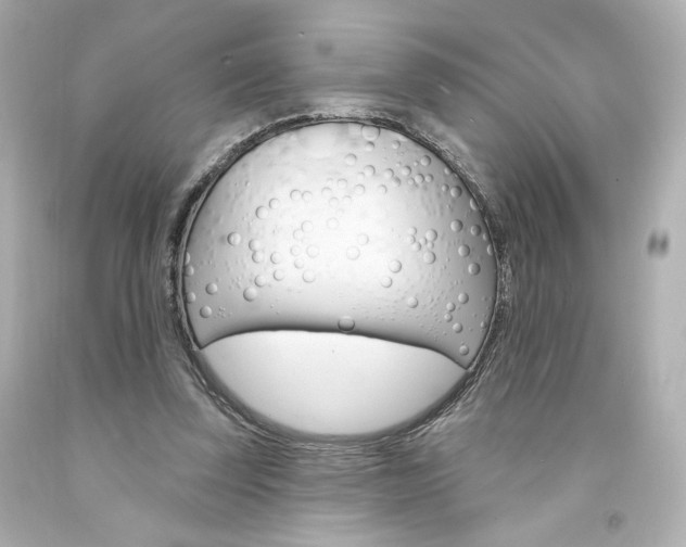 X0000094350347200711021318