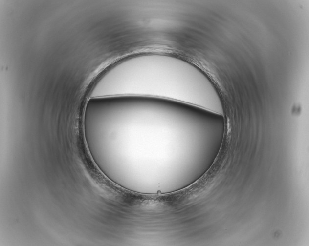X0000094350348200711021318