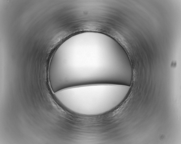 X0000094350349200711021318