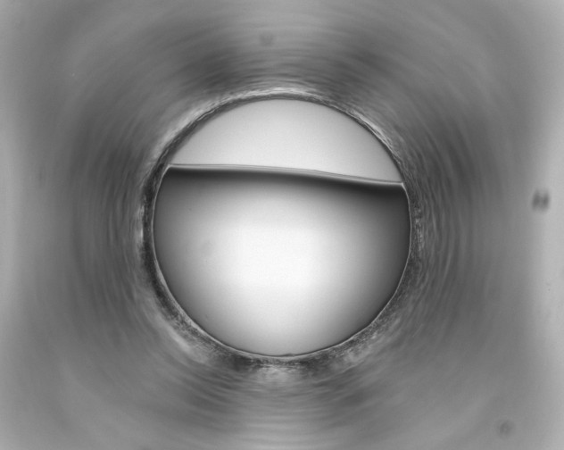 X0000094350350200711021318