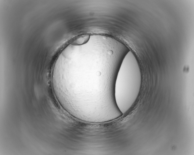 X0000094350351200711021318