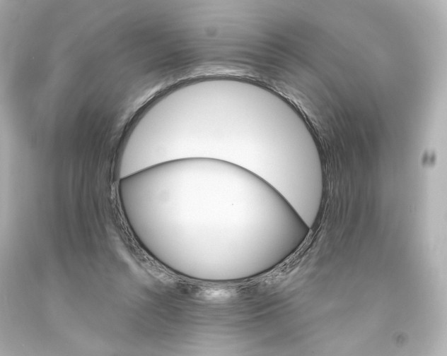 X0000094350352200711021318