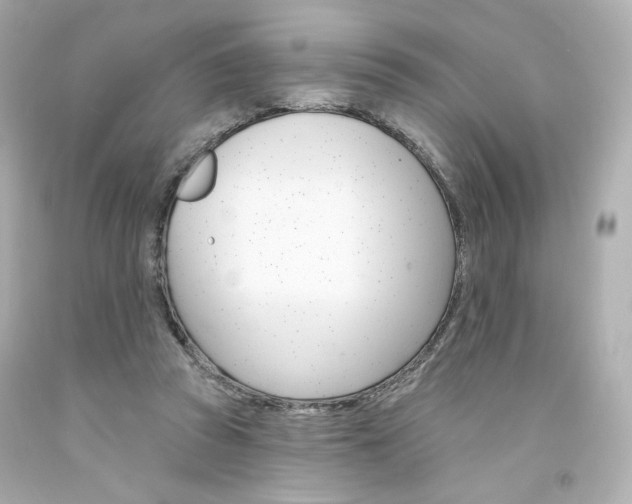 X0000094350353200711021318