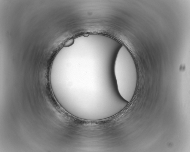 X0000094350354200711021318