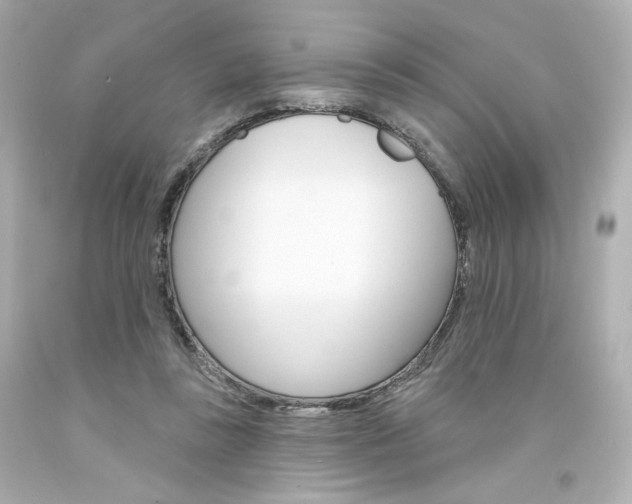 X0000094350355200711021318