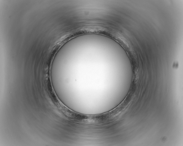 X0000094350356200711021318