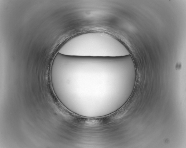X0000094350357200711021318