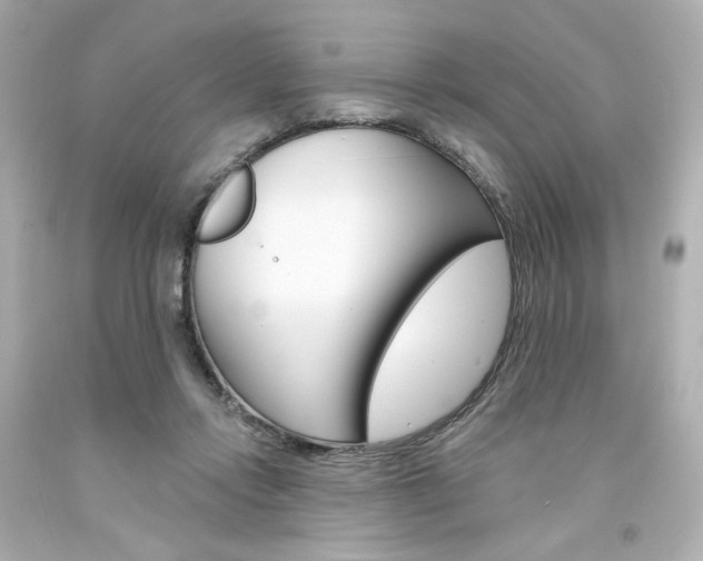 X0000094350358200711021318