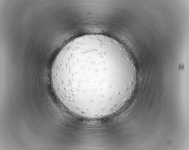 X0000094350359200711021318