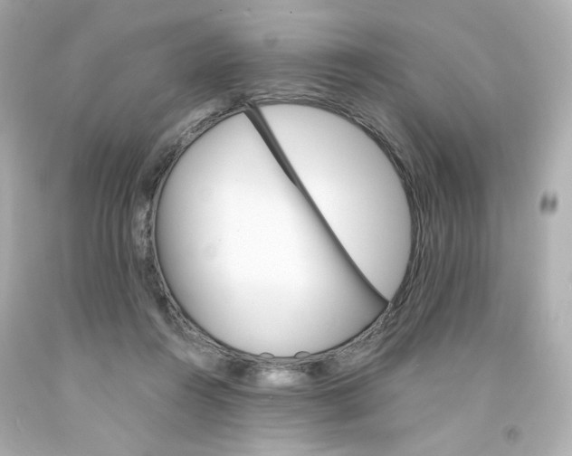 X0000094350360200711021318