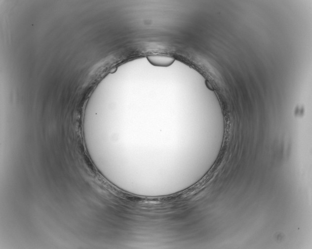 X0000094350361200711021319