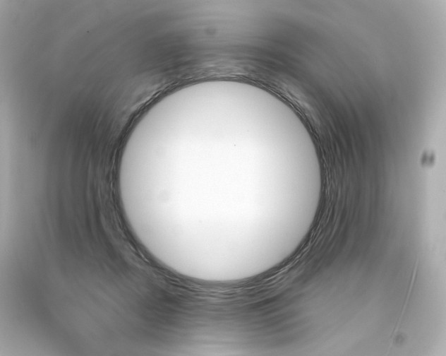 X0000094350362200711021319