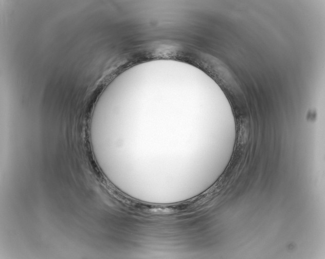 X0000094350363200711021319