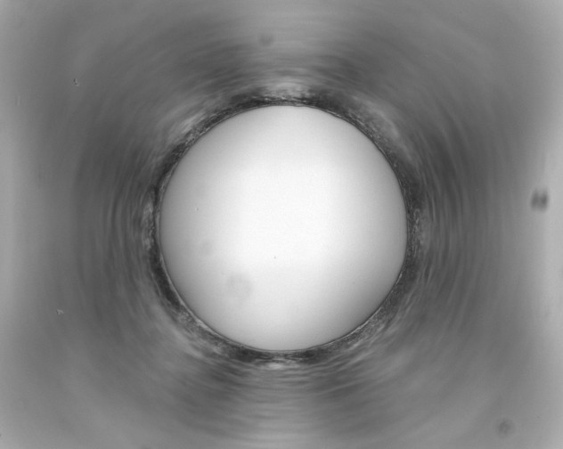 X0000094350364200711021319