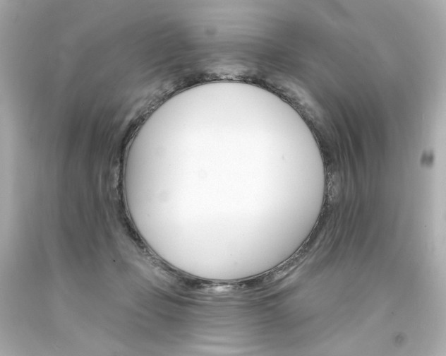 X0000094350365200711021319