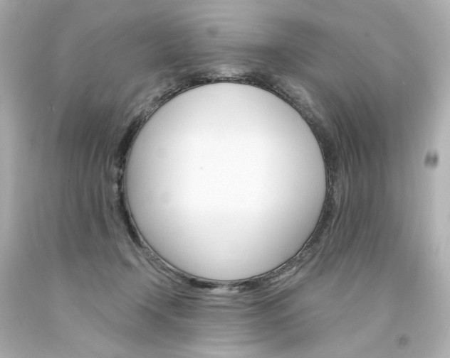 X0000094350366200711021319