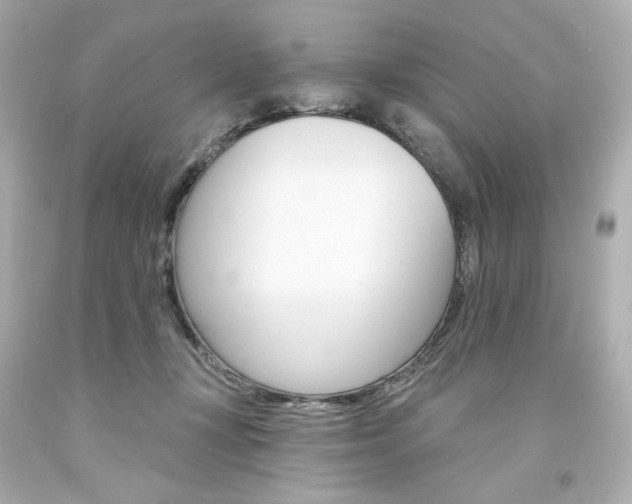 X0000094350367200711021319