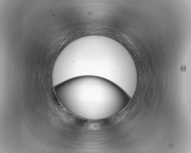 X0000094350368200711021319