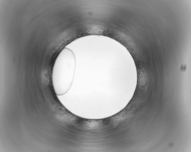 X0000094350370200711021319